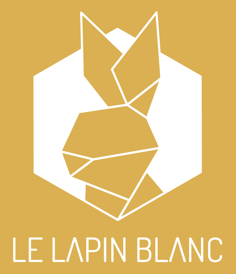 Lapin blanc